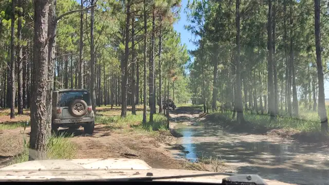 Tavares novembro de 2021!