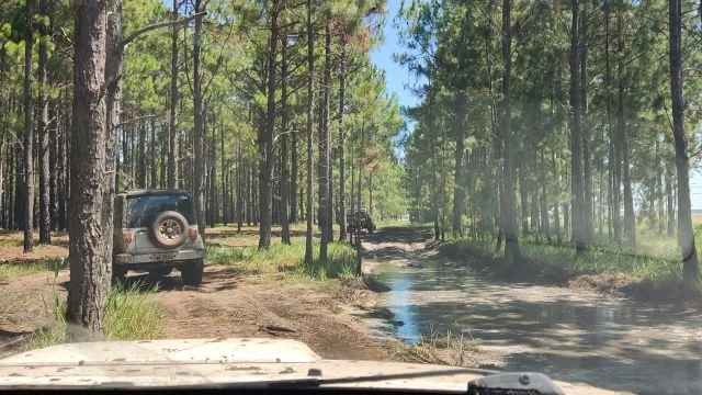 Tavares novembro de 2021!