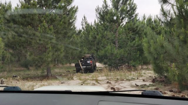 Tavares novembro de 2021!