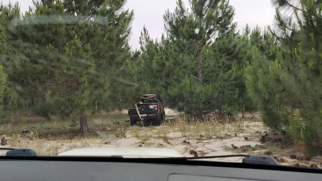 Tavares novembro de 2021!