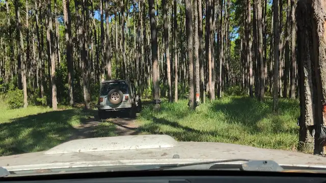 Tavares novembro de 2021!