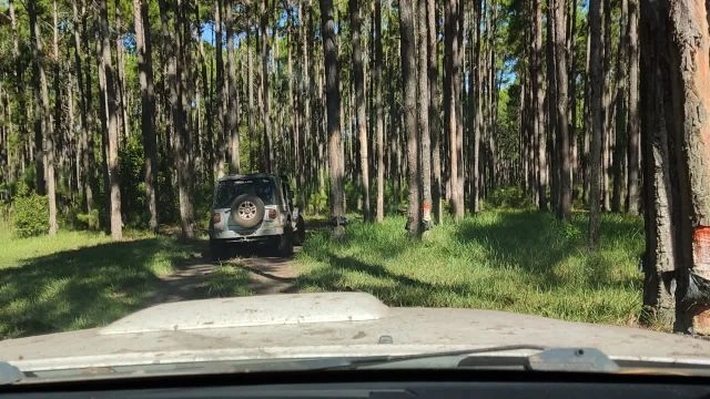 Tavares novembro de 2021!