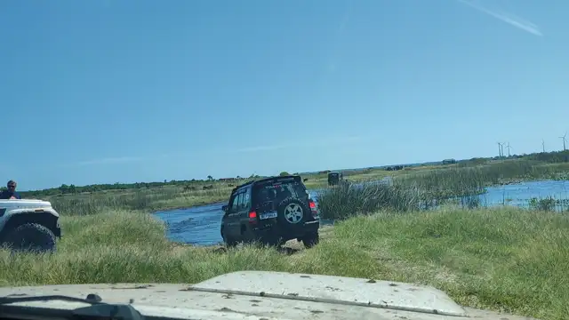 Tavares novembro de 2021!