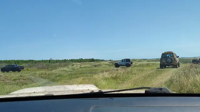 Tavares novembro de 2021!