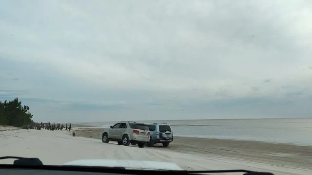 Tavares novembro de 2021!