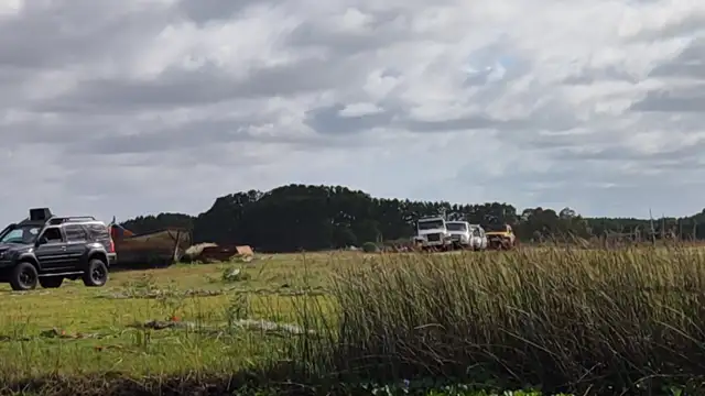 Tavares novembro de 2021!