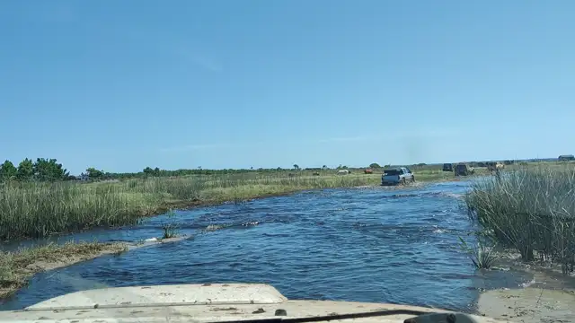 Tavares novembro de 2021!