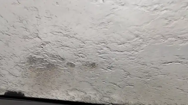 Tavares novembro de 2021!