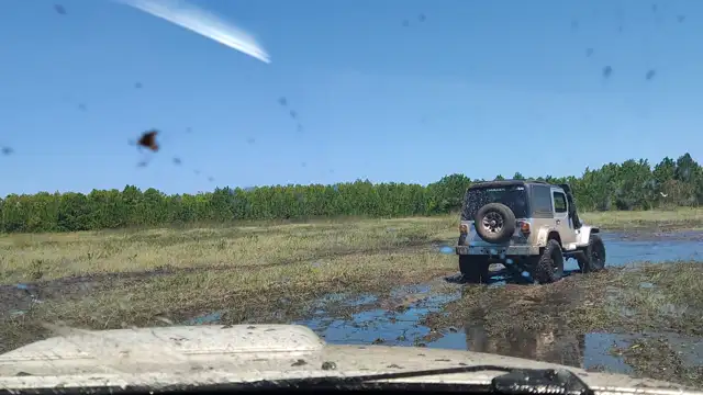 Tavares novembro de 2021!