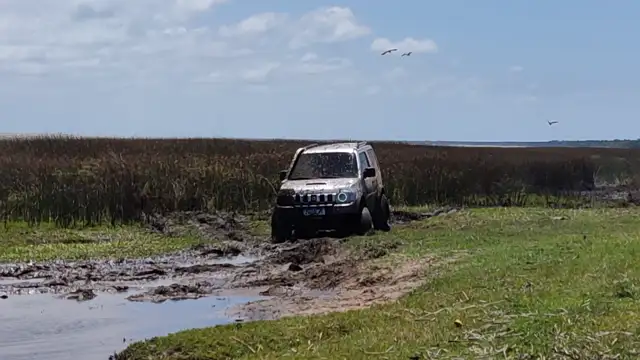 Tavares novembro de 2021!