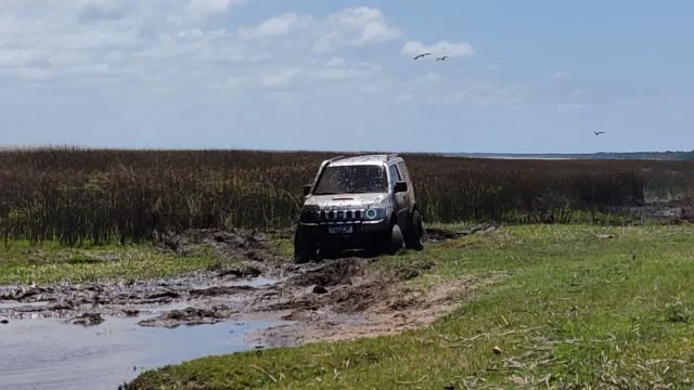 Tavares novembro de 2021!