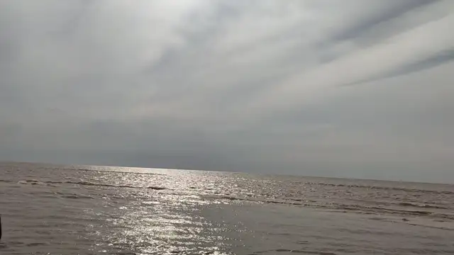 Tavares novembro de 2021!