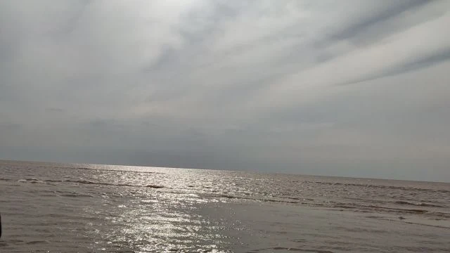 Tavares novembro de 2021!