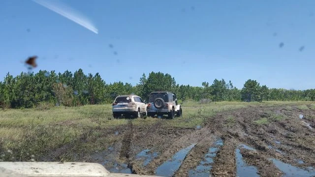 Tavares novembro de 2021!