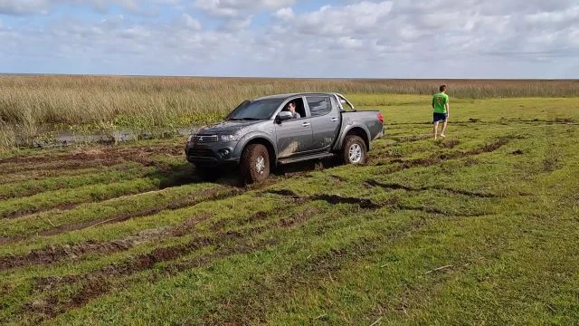 Tavares novembro de 2021!