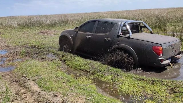 Tavares novembro de 2021!