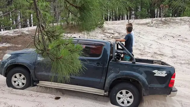 Tavares novembro de 2021!