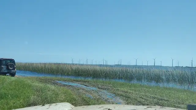 Tavares novembro de 2021!