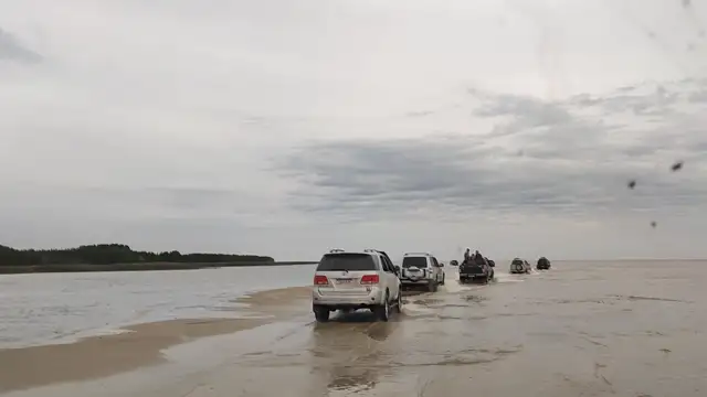 Tavares novembro de 2021!