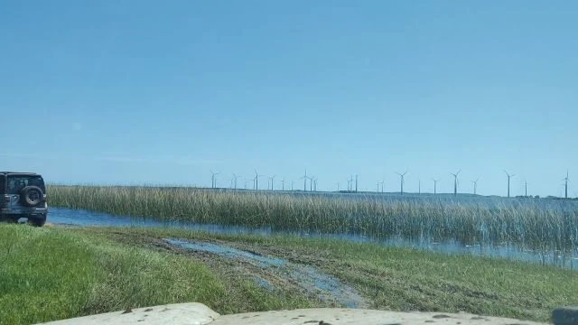 Tavares novembro de 2021!