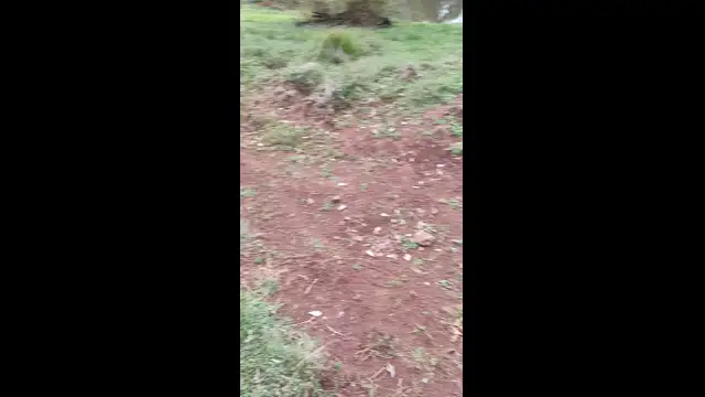 Rebanho está crescendo 2021!