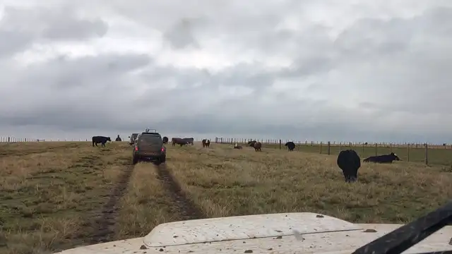 Marcos da fronteira!