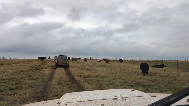 Marcos da fronteira!